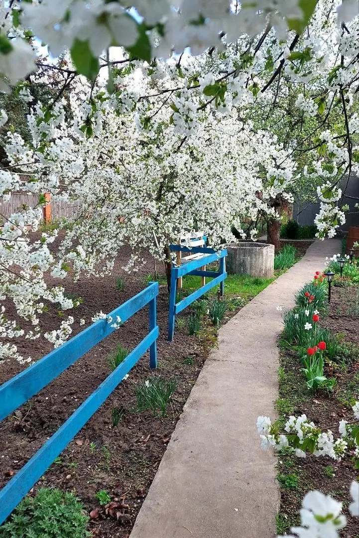 Коттеджный Городок Вита -Литовская, Голосеевский Район, Динамо, Конча-Заспа Kiev 0*,