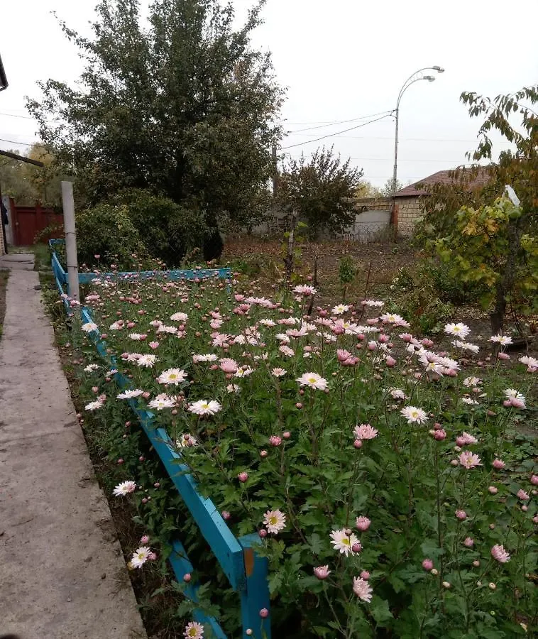 Pensionat Коттеджный Городок Вита -Литовская, Голосеевский Район, Динамо, Конча-Заспа Kiev Ukraina