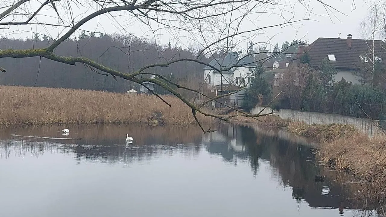 Коттеджный Городок Вита -Литовская, Голосеевский Район, Динамо, Конча-Заспа Kiev Pensionat